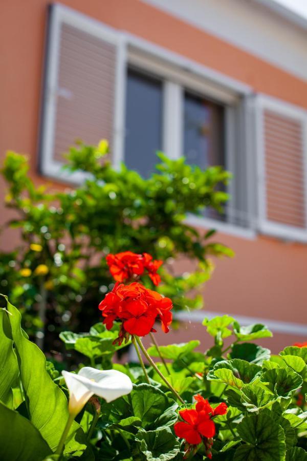 Villa Nedika Podgora Buitenkant foto